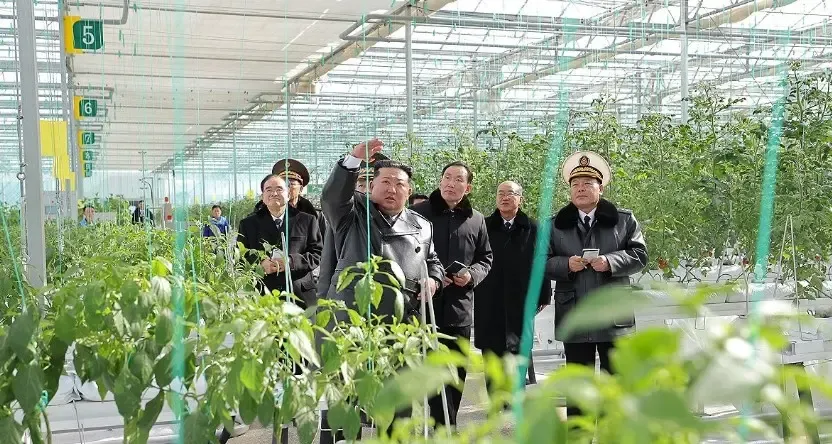 Has North Korea Opened a Greenhouse Farm in Sinuiju Before the Party Congress?