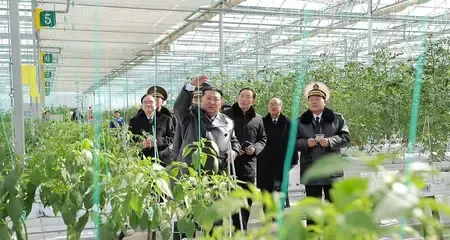 Has North Korea Opened a Greenhouse Farm in Sinuiju Before the Party Congress?