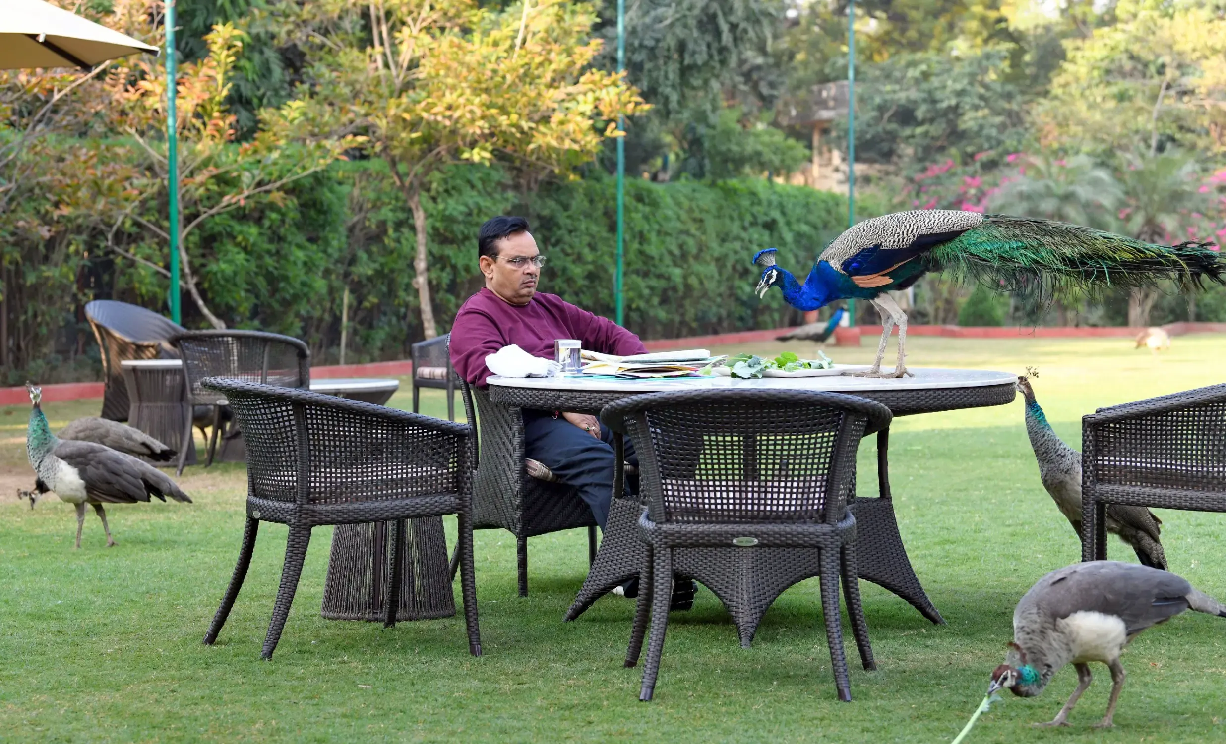 Is Rajasthan CM’s Navratri Fast a Spiritual Journey?