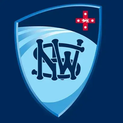 Cricket NSW rejects BBL privatisation, warns of grassroots funding threat