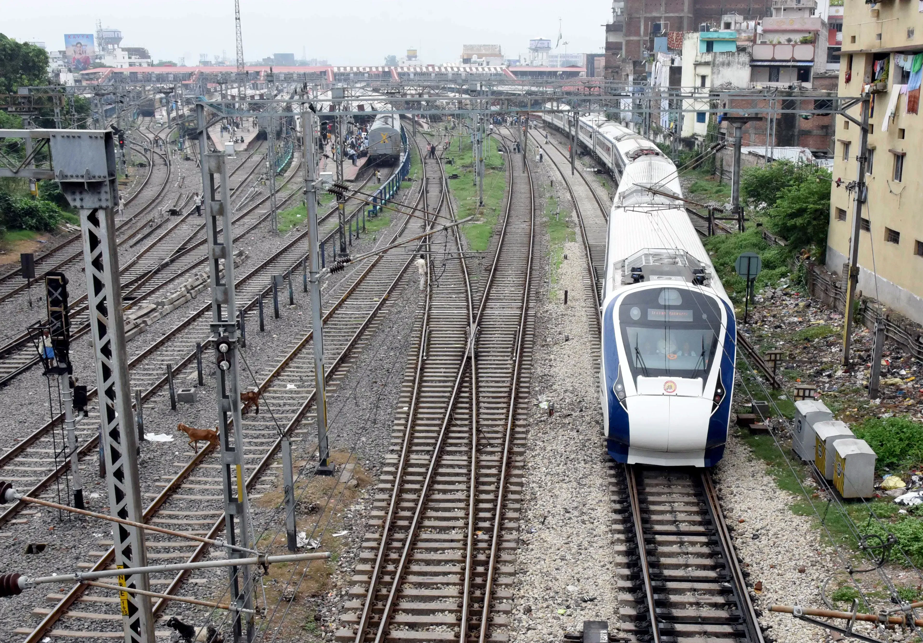 Has the Number of Train Accidents in India Decreased from 135 in 2014-15 to 31 in 2024-25?