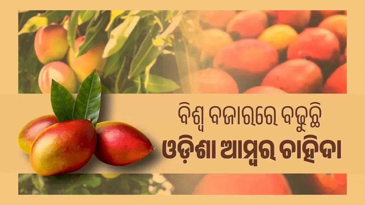 Odisha CMO hails PM Modi's Mann Ki Baat nod to Subarnarekha mango