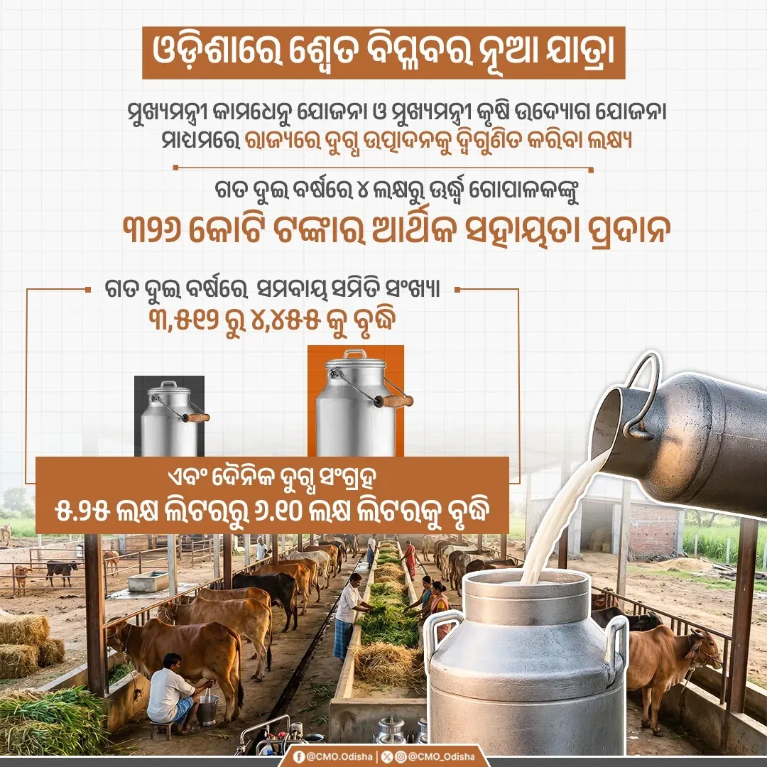 Odisha CMO pushes dairy schemes to double milk output