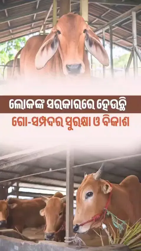 Odisha CMO reaffirms livestock welfare, doorstep vet services