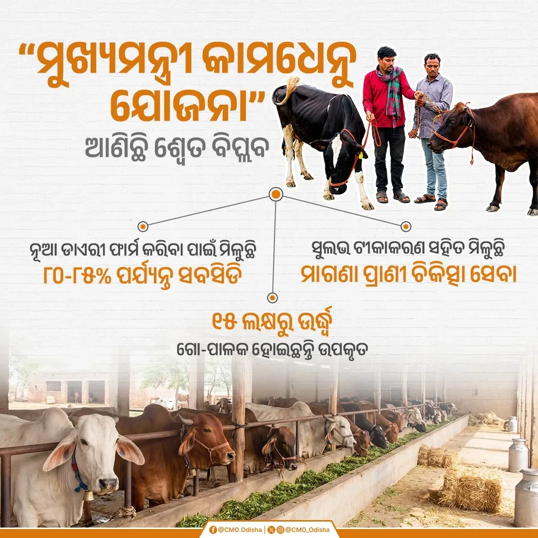 Odisha CMO shares update via official X post