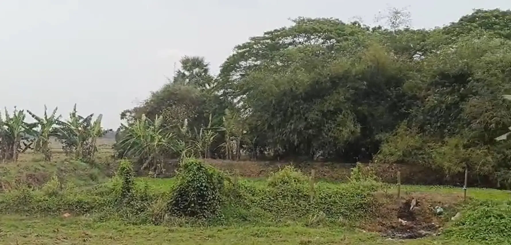 केंद्रपाड़ा का कुशुनुपुर: वैज्ञानिक नवाचार से बनेगा 'स्मार्ट विलेज'