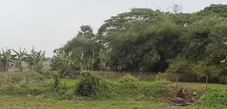 ओडिशाः केंद्रपाड़ा के कुशुनुपुर को ‘स्मार्ट विलेज’ के रूप में चुना गया, वैज्ञानिक नवाचार से बदलेगी तस्वीर