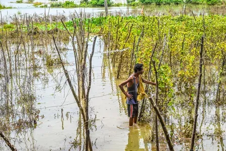 Odisha floods: 8.6 lakh affected, ₹110 crore relief disbursed across 22 districts