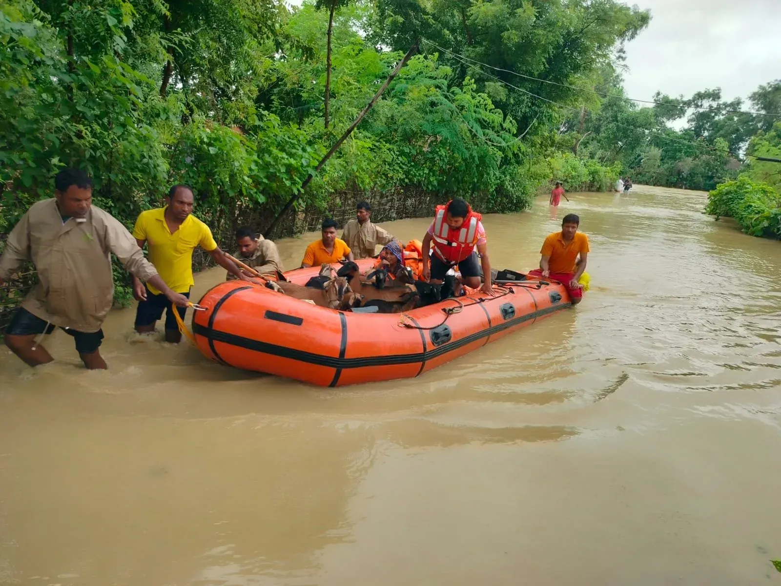 Odisha floods: 7.91 lakh affected, relief centres to stay open till normalcy returns