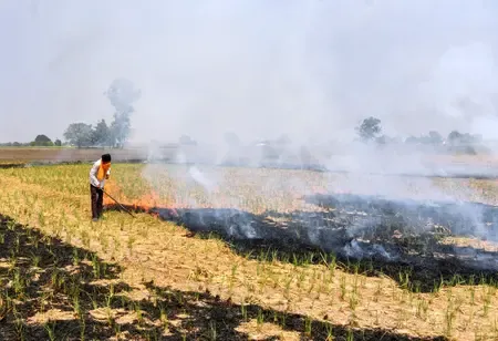 Are Official Figures Ignoring 90% of Farm Fires in Haryana and Punjab? Report Highlights Need for Focus on UP and MP Hotspots
