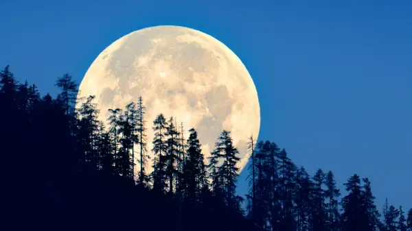 Will the Wolf Supermoon Shine Brightly on Paush Purnima Today?
