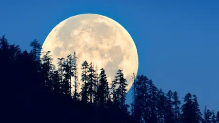 Will the Wolf Supermoon Shine Brightly on Paush Purnima Today?