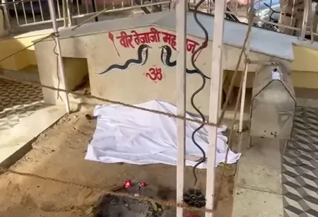 Individual Detained for Defacing Veer Tejaji Idol in Jaipur
