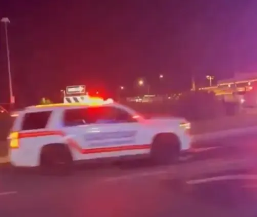 What Caused the Fatal Boat Collision Near Clearwater?