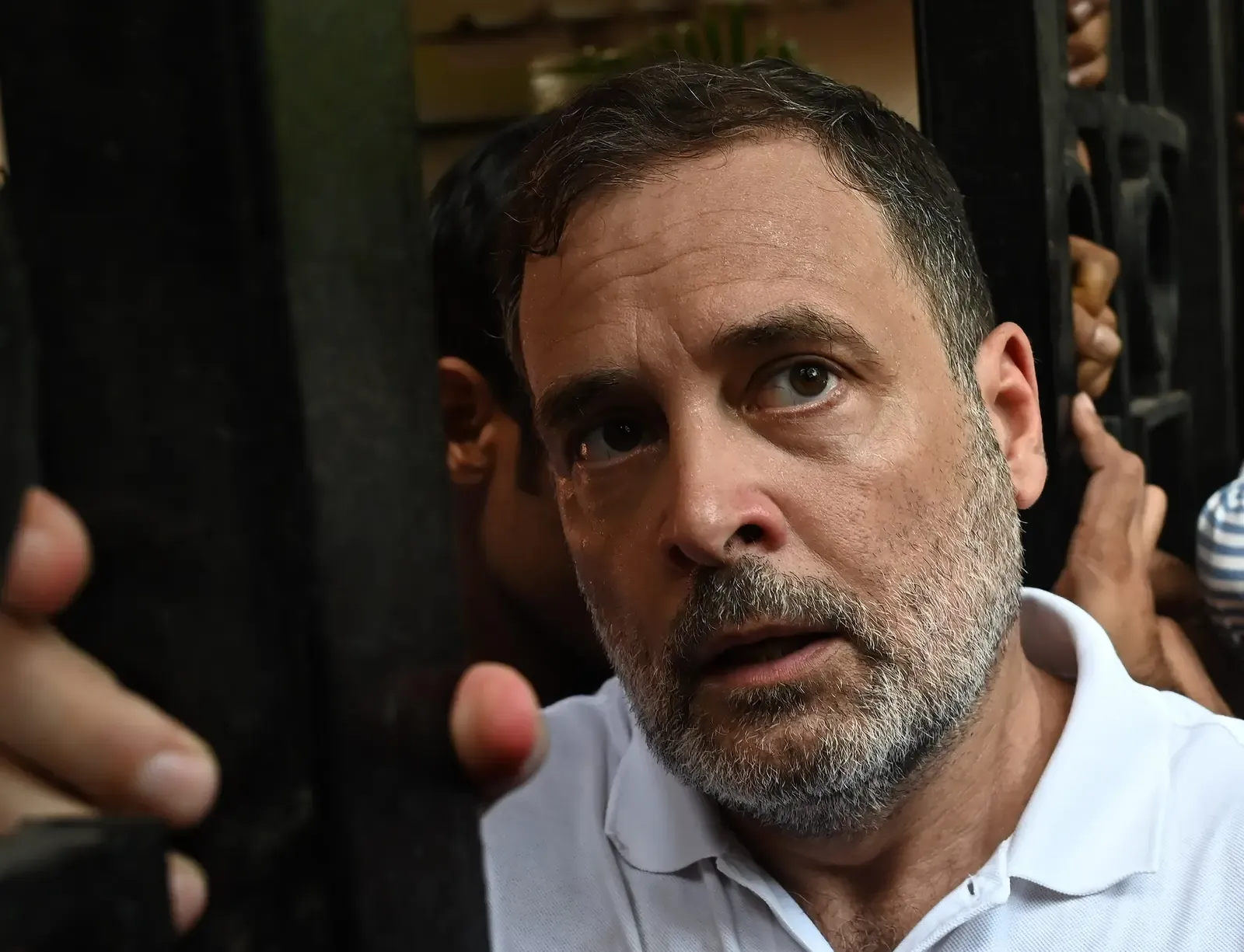 Rahul, Priyanka Gandhi released after detention at Delhi Opposition protest
