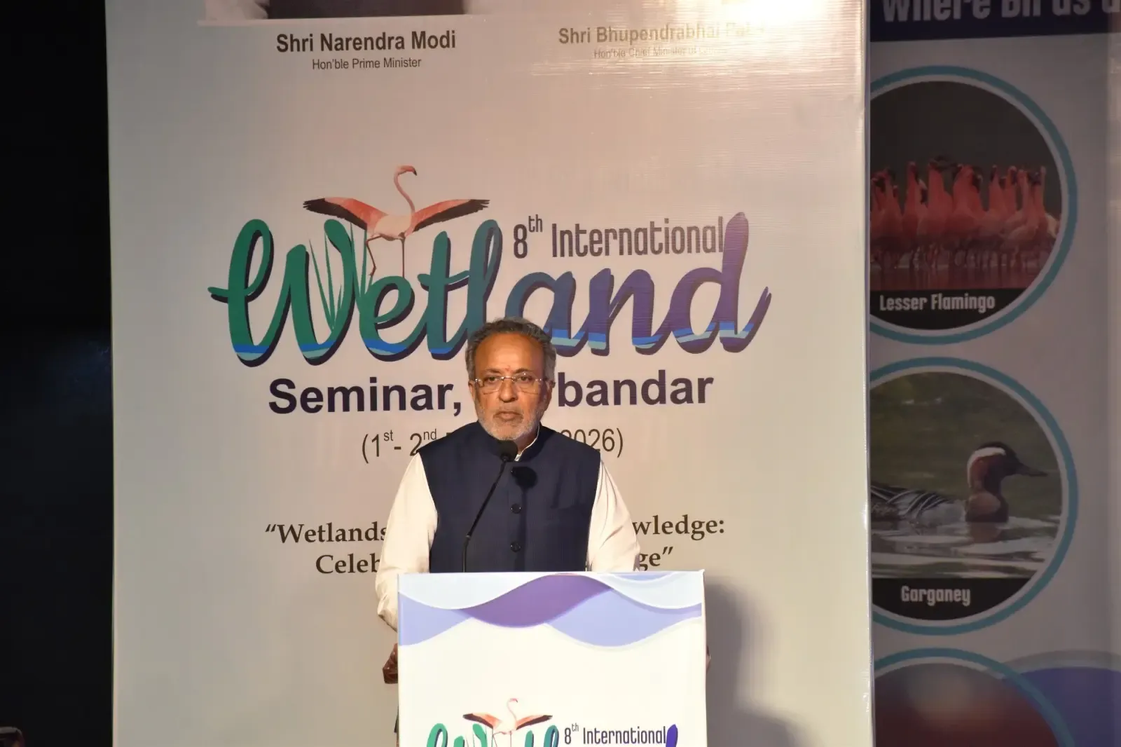 How many injured birds have been rescued in Gujarat since the launch of Karuna Abhiyan?