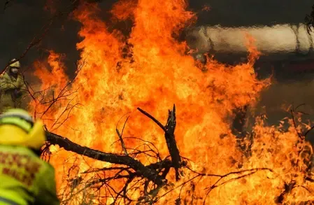 How Many Homes Were Damaged or Destroyed by Bushfire in Tasmania?