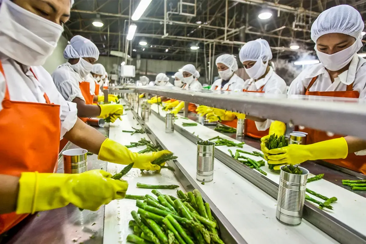 Over 42,800 Food Processing Units Registered Under Government Incentive Schemes: Minister