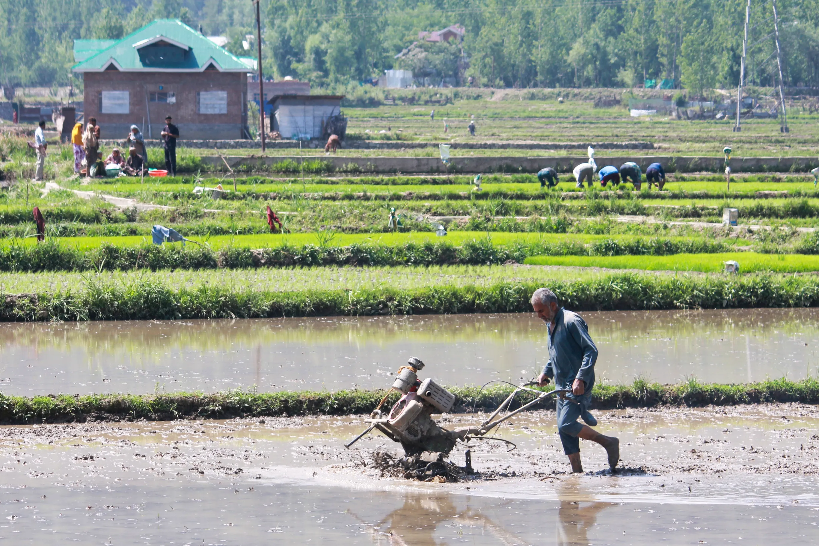 Have Over 6.1 Crore Indian Farmers Received Aadhar-like Digital IDs Linked to Their Land Records?