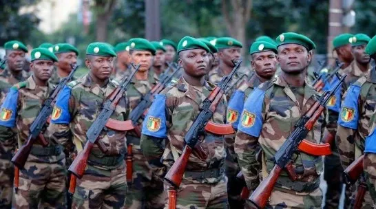 How Many Terrorists Were Killed in Military Operations in Mali?