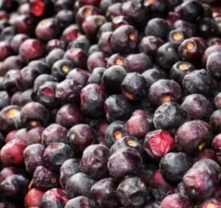 पाचन को मजबूत कर दिल की सेहत सुधारता है फालसा, गर्मियों में वरदान से कम नहीं 