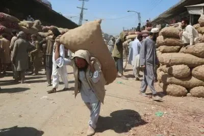 Why Are Flour Prices Skyrocketing in Khyber Pakhtunkhwa?