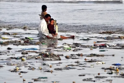 Karachi's Coastal Crisis: Industrial Waste and Livestock Pollution Threaten Marine Life