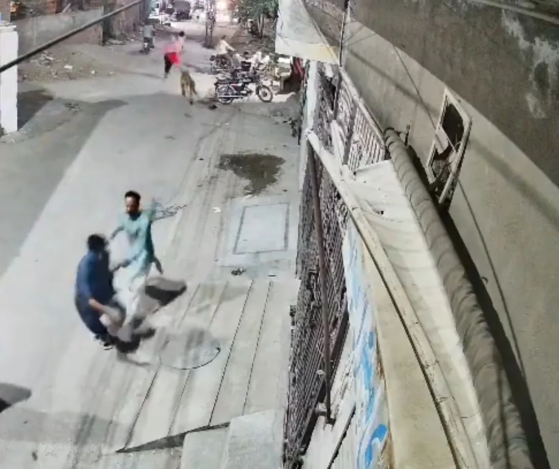 What Happened After a Man's 'Pet' Lion Injured Three People in Lahore?