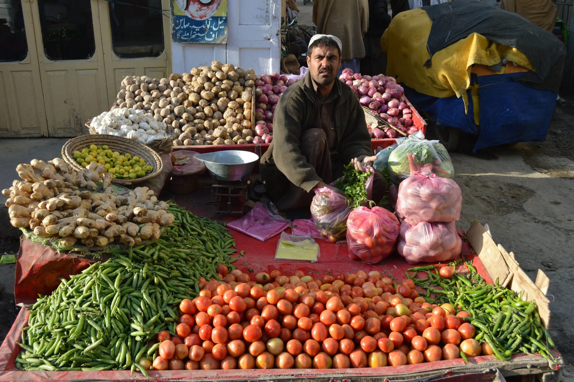 Why Are Tomato Prices in Pakistan Soaring to Rs 600 per kg?