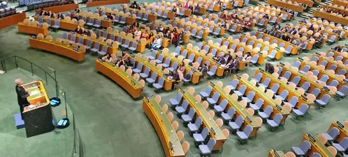 Is Palestine the Center of Attention at the UNGA Session?