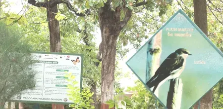 गुजरात : पंचमहल जिले का धनपुरी इको टूरिज्म सेंटर, सैलानियों के बीच आकर्षण का केंद्र  