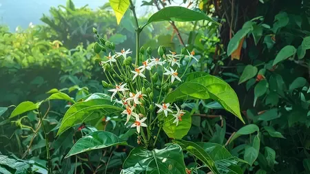 पारिजात वृक्ष : देवताओं का वरदान, मनुष्यों के लिए संजीवनी