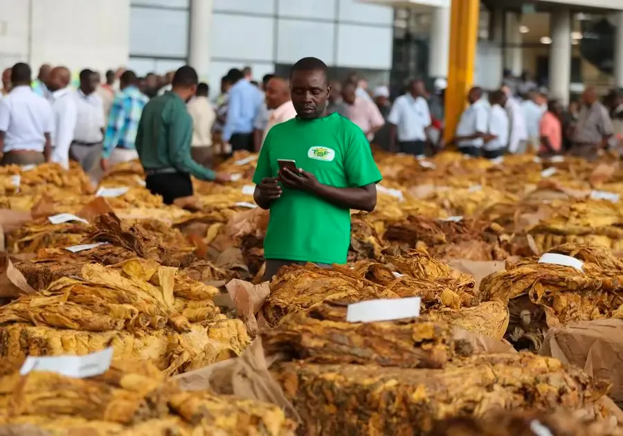 What Steps are Parties to the WHO Tobacco Protocol Taking to Enhance Cooperation Against Illicit Trade?