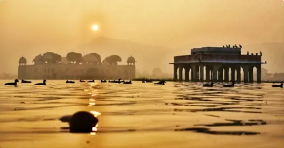 क्या पौष कृष्ण पक्ष तृतीया पर रविवार व्रत के विशेष लाभ और पूजा विधि है?