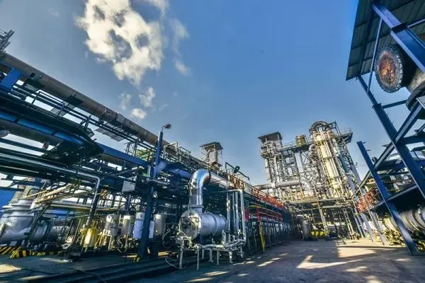 Why Did PCBL Chemical’s Q2 Profit Plummet by 50% to Rs 61.7 Crore?