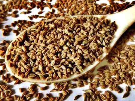 पेट दर्द, गैस या अपच, हर समस्या सिर्फ एक चम्मच अजवाइन से होगी खत्म