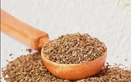 पेट दर्द से खांसी तक, सर्दियों में वरदान है अजवाइन  