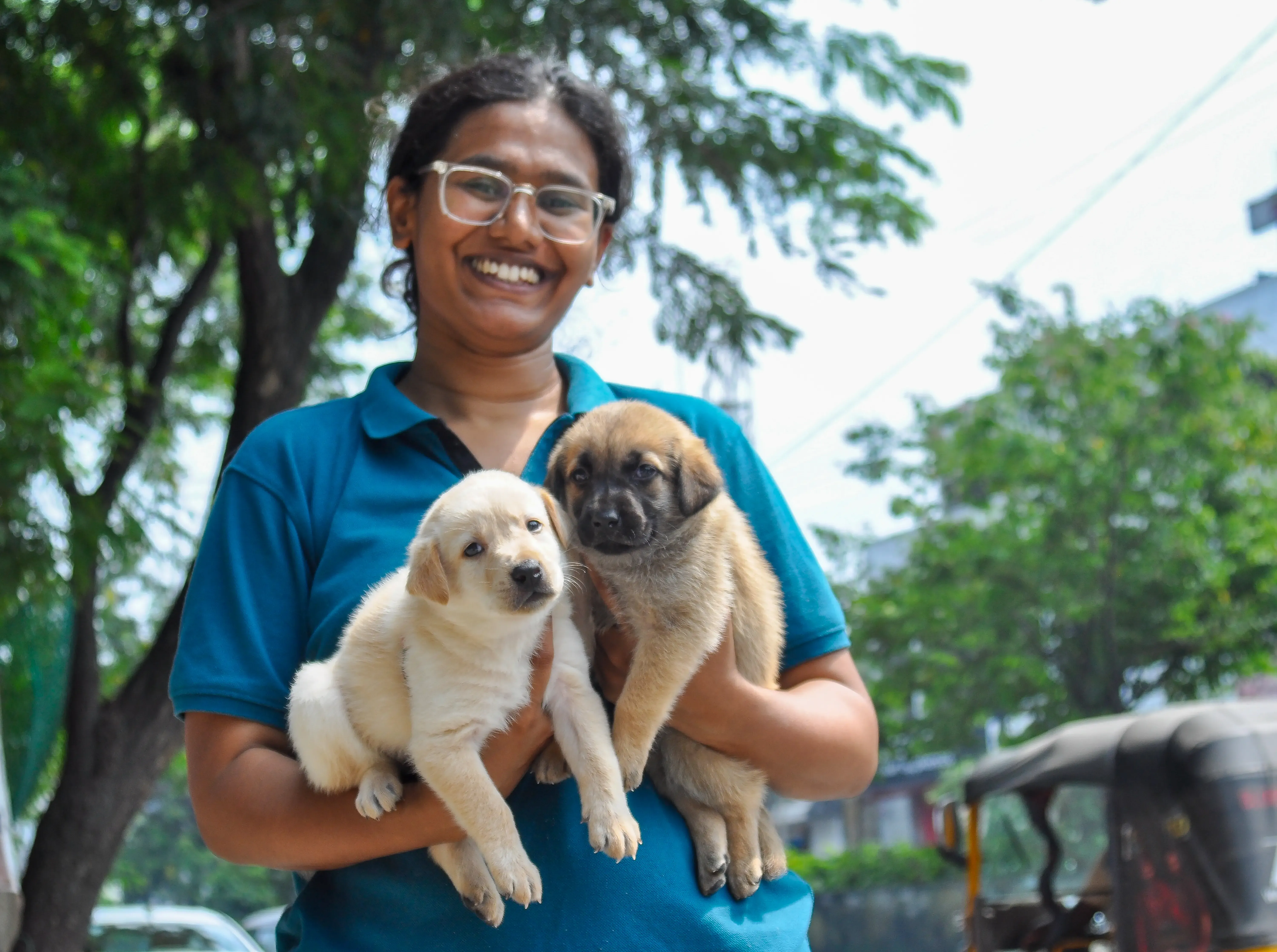 Will Pet Owners Get a Deadline Extension Amid Chennai’s Dog Microchipping Challenges?