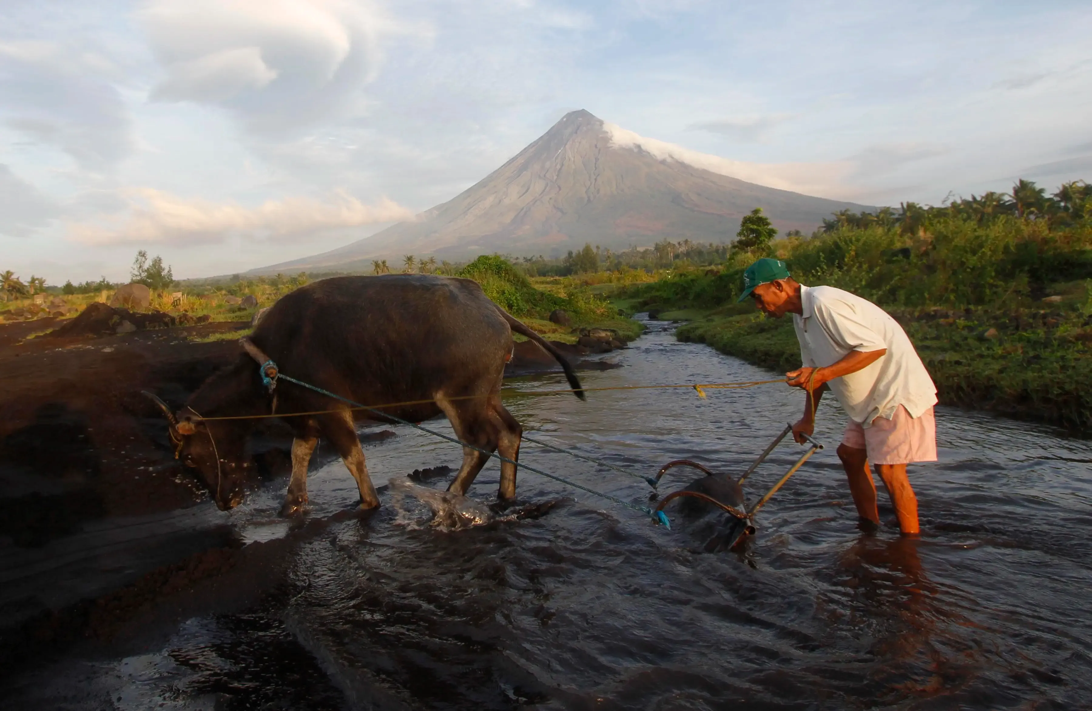 Philippines Announces Food Security Crisis to Address Rising Rice Costs