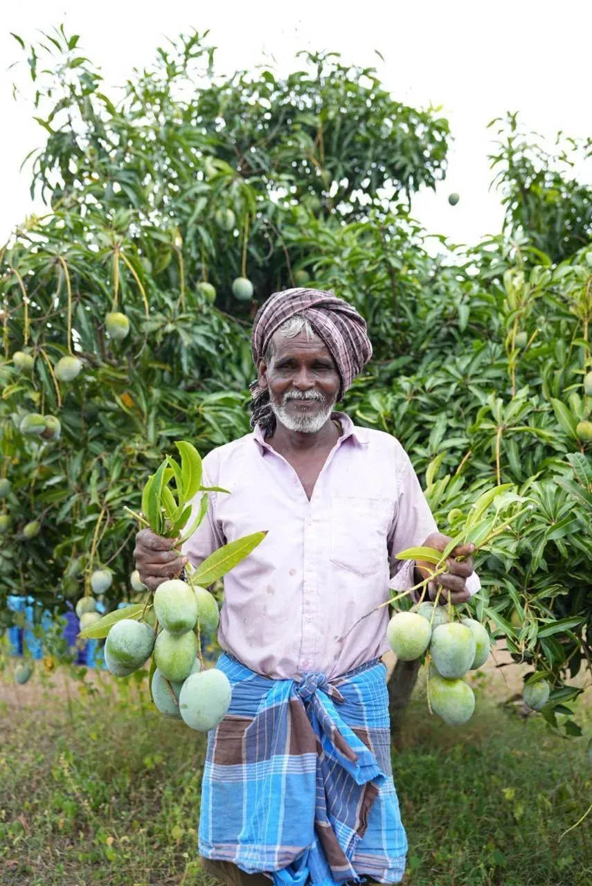 Piyush Goyal: Karnataka mangoes reach Maldives in first-ever air shipment