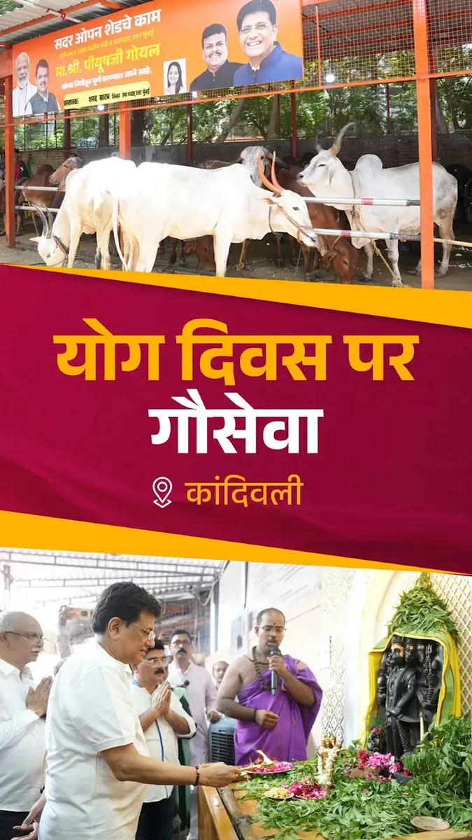 Piyush Goyal Observes Yoga Day With Cow Service in Kandivali