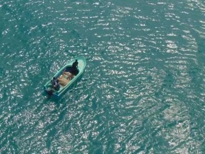 How has the plastic nurdle spill from the sunken MSC ELSA 3 impacted TN's Dhanushkodi sanctuary?