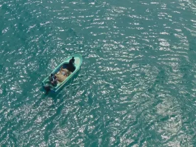 How has the plastic nurdle spill from the sunken MSC ELSA 3 impacted TN's Dhanushkodi sanctuary?