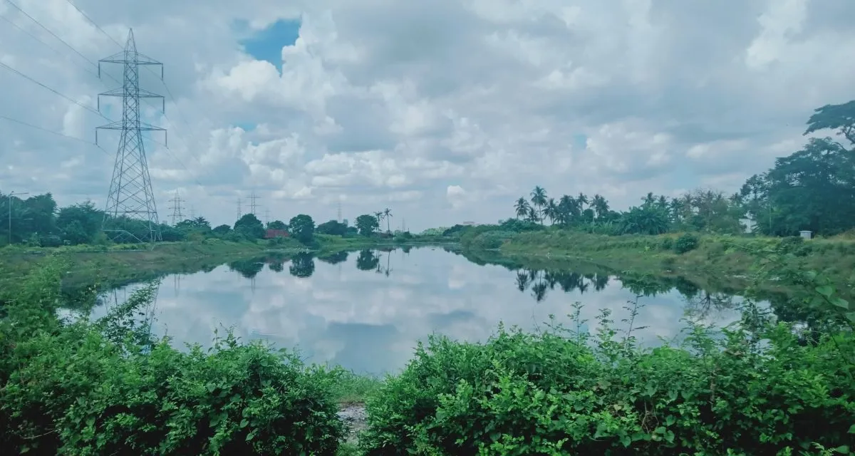 Supreme Court Petition Aims to Safeguard All Wetlands as per 2017 Conservation Rules