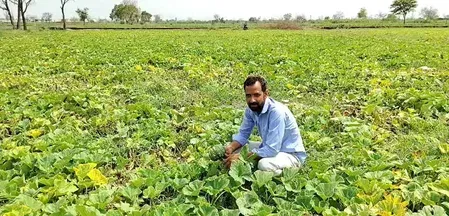 पीएम किसान सम्मान निधि योजना 2030-31 तक जारी, हरियाणा के किसानों ने फैसले का किया स्वागत
