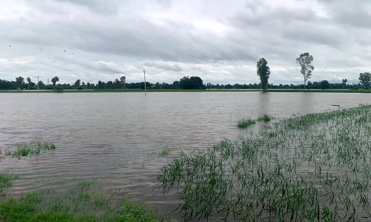 What Measures is PM Modi Taking to Address Punjab's Flood Crisis?