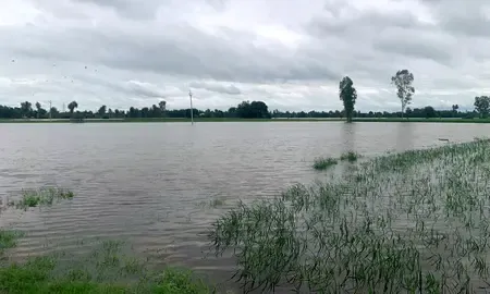 What Measures is PM Modi Taking to Address Punjab's Flood Crisis?