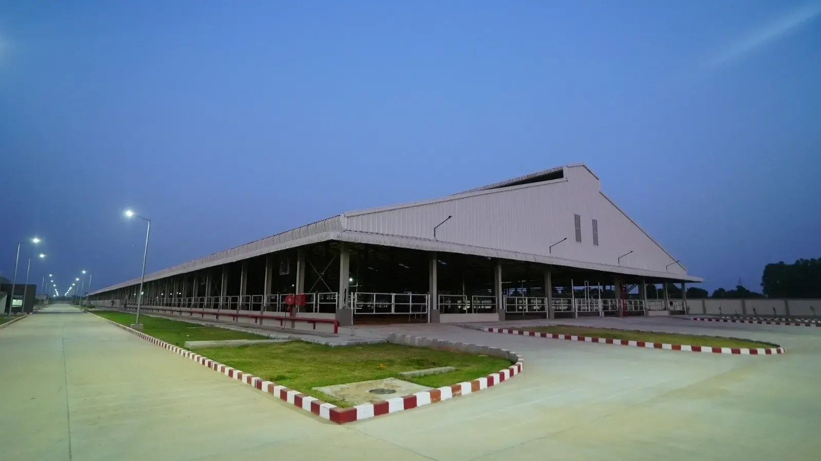 PM Modi to launch Gujarat's Bharat Bovine Breeding Centre on Oct 30, eyes 10-20x breed boost