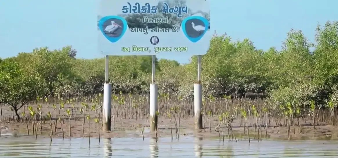 How is PM Modi Recognizing Gujarat's Environmental Achievements?