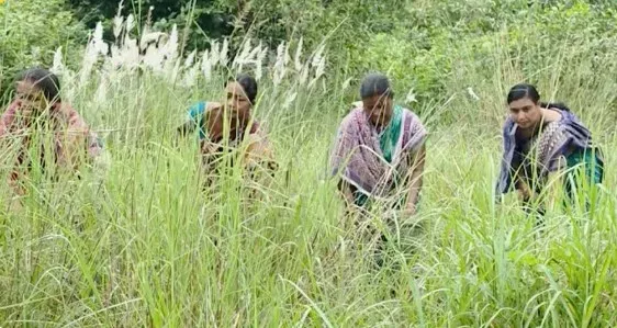 PM Modi praises Odisha's Maithili Bhue for Debrigarh forest conservation